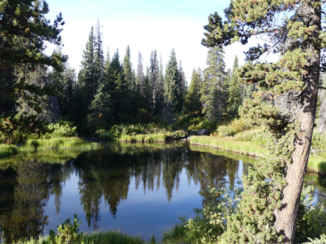 Canada - Beloning omdat we gekozen hebben voor een gravel road