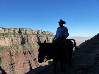 Grand Canyon - Cowboy at Grand Canyon