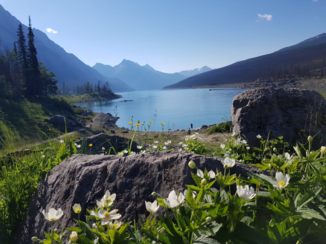 Rondreis West-Canada