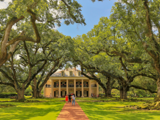 Verenigde Staten - Oak Alley Plantage