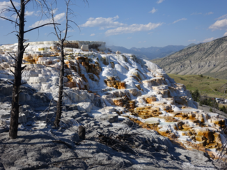 Rondreis West-Canada - Mammoth Hot Springs