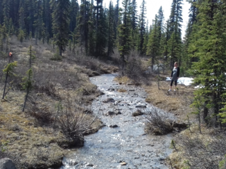 Rondreis West-Canada