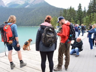 Lake Louise - Picture please