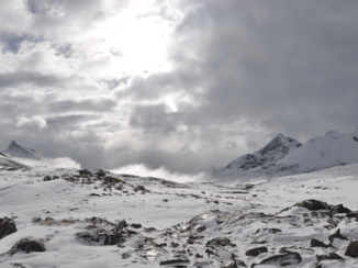 Jasper National Park