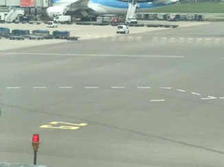 Tui - Tui Dreamliner