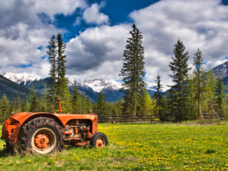 Rondreis West-Canada