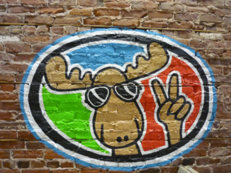 Rondreis Oostkust Canada - The Moose!