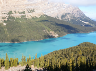 Banff National Park - Peyto Lake