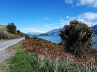Travel Essence - Lake Wakatipu