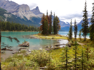 Djoser - Spirit Island