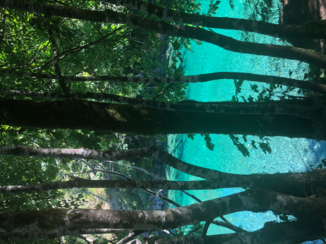 Rondreis West-Canada - Coffee break